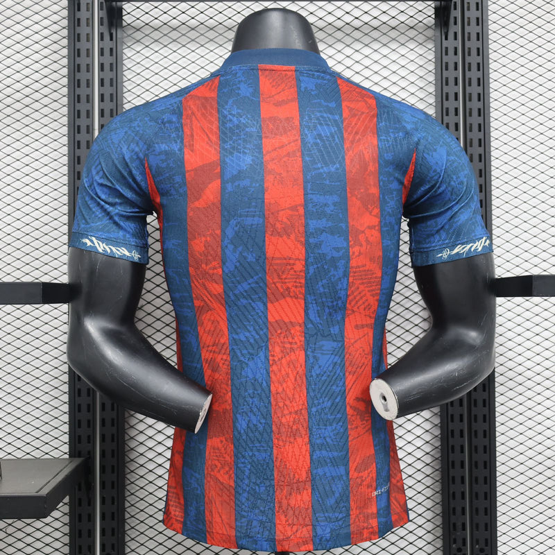 Camiseta FC Barcelona Edición Especial 23/24 - Jugador